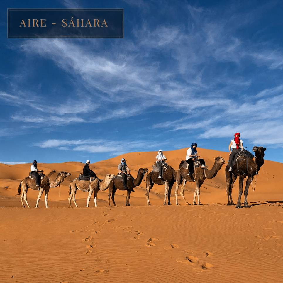 Caravana de dromedarios en las dunas de Merzouga al atardecer